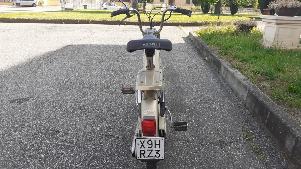 Garelli   (2)