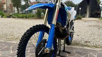 Tm Moto EN 300 ES Fi 4T (2023) usata