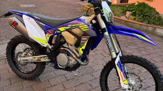 Sherco 300 SEF Factory (2022) usata