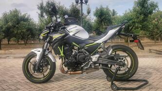 Kawasaki Z 650 (2020)