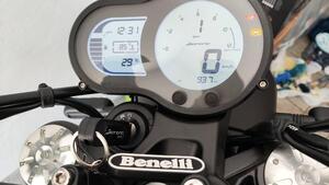 Benelli Leoncino 500 Trail (2021 - 25) 