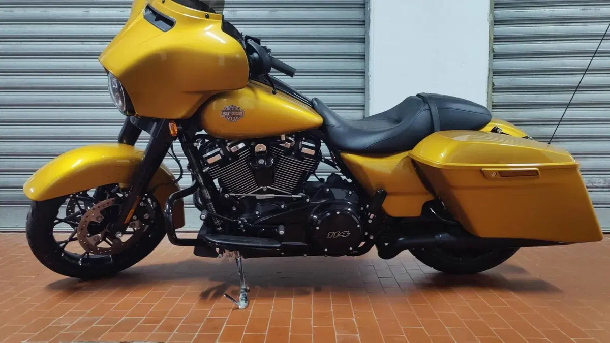 Harley-Davidson Street Glide Special (2021 - 23) 