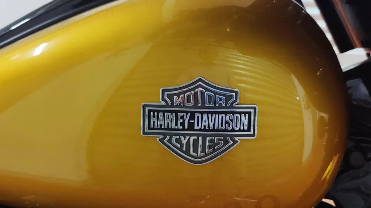 Harley-Davidson Street Glide Special (2021 - 23)  (4)