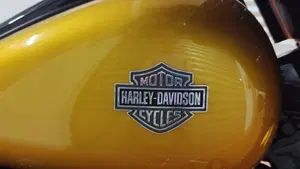 Harley-Davidson Street Glide Special (2021 - 23)  (4)