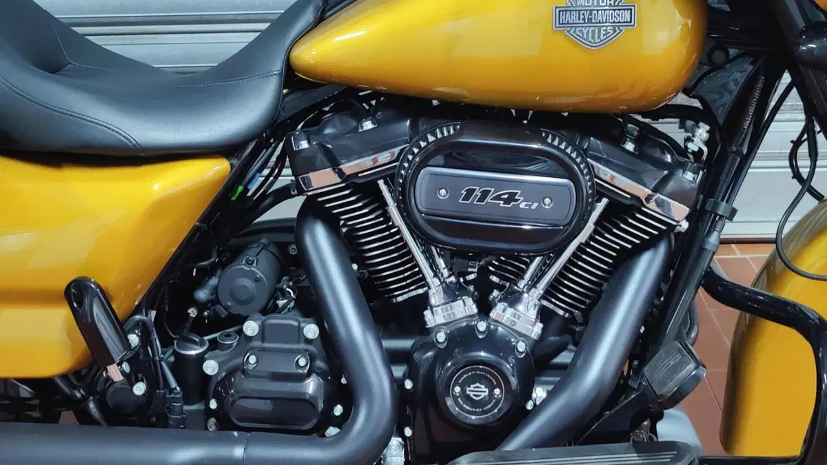 Harley-Davidson Street Glide Special (2021 - 23)  (5)