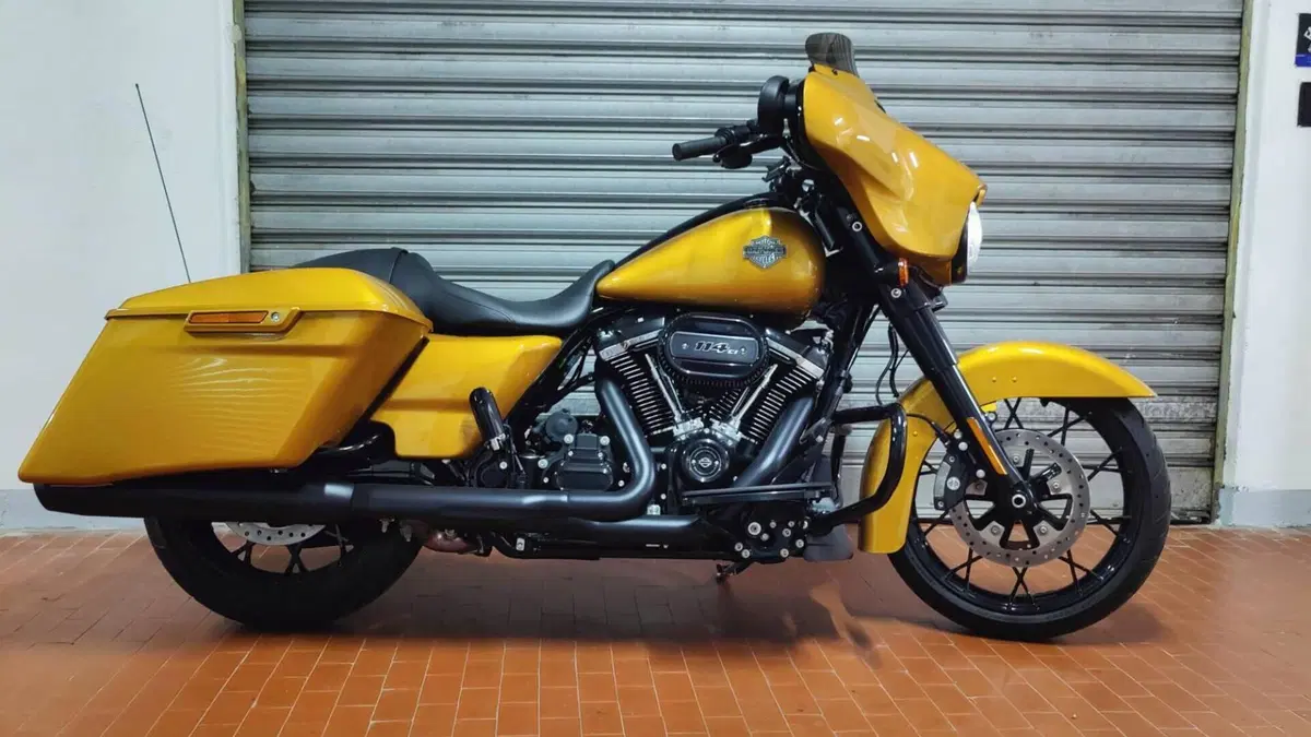 Harley-Davidson Street Glide Special (2021 - 23)  (6)