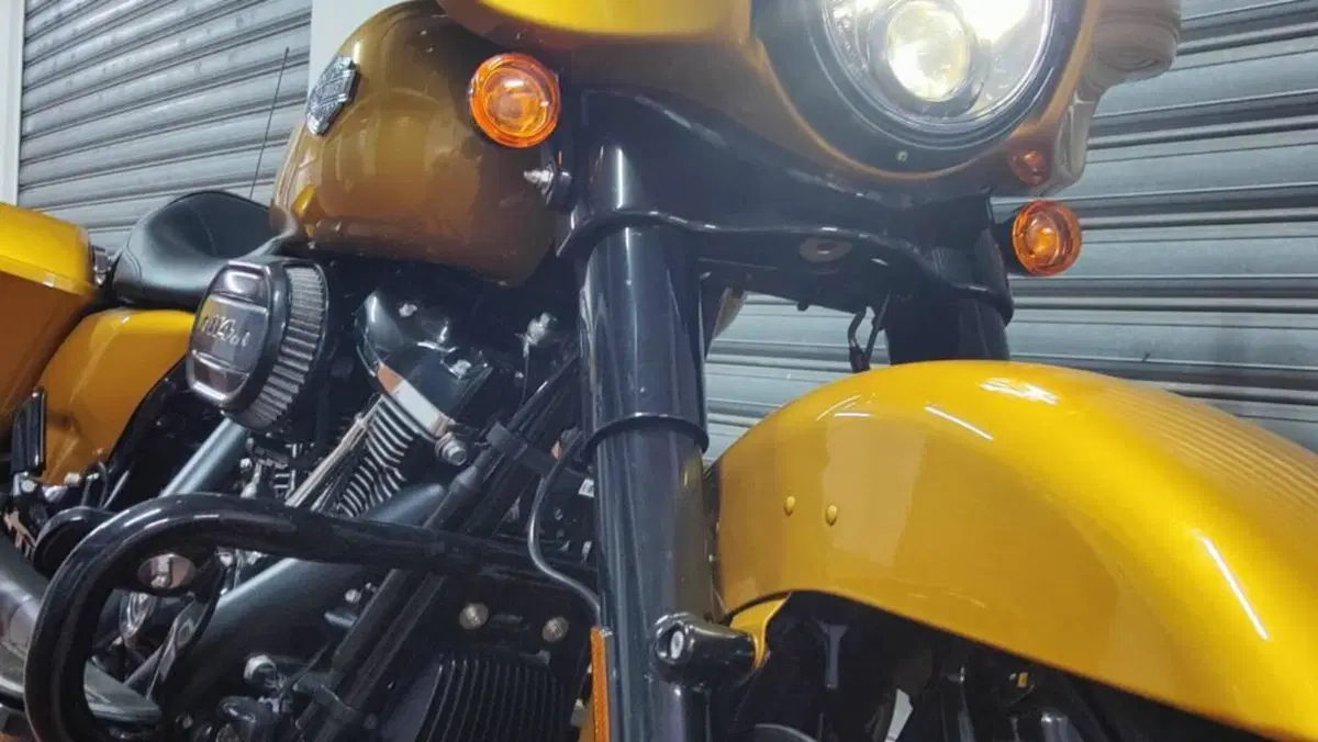 Harley-Davidson Street Glide Special (2021 - 23)  (7)