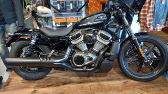 Harley-Davidson Nightster (2023 - 25)