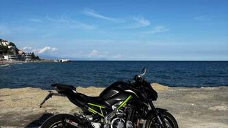 Kawasaki Z 900 Performance (2019) usata