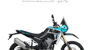Kove 800 Rally (2025) 
