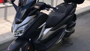 Honda Forza 300 Deluxe ABS (2018 - 20) 