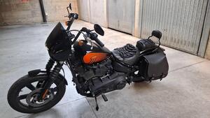 Harley-Davidson Street Bob 114 (2021 - 24) 