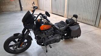 Harley-Davidson Street Bob 114 (2021 - 24)