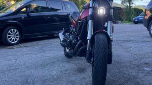 Benelli Leoncino 500 (2021 - 25) 