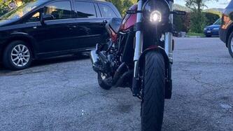 Benelli Leoncino 500 (2021 - 25)