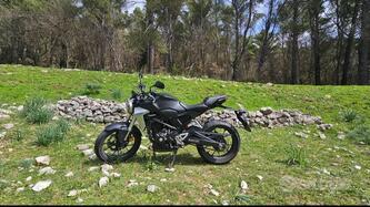 Honda CB 300 R (2018 - 19) usata