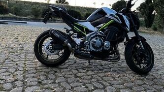 Kawasaki Z 900 (2019) usata