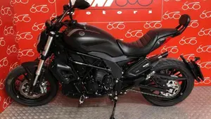 Benelli 502 C (2019 - 20)  (3)