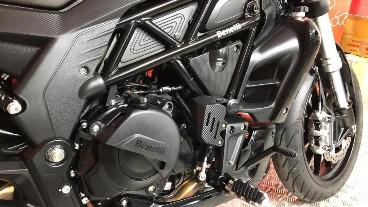 Benelli 502 C (2019 - 20)  (6)