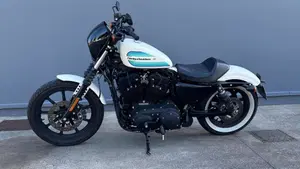 Harley-Davidson 1200 Iron (2018 - 20) - XL1200N  (2)