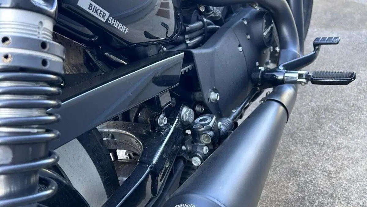 Harley-Davidson 1200 Iron (2018 - 20) - XL1200N  (6)