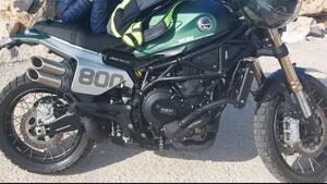 Benelli Leoncino 800 (2022 - 25) 