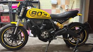 Ducati Scrambler 800 Icon (2015 - 16) 