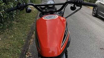 Harley-Davidson 1200 XR (2009 - 12) usata