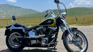 Harley-Davidson 1450 Springer (2001 - 03) - FXSTS 