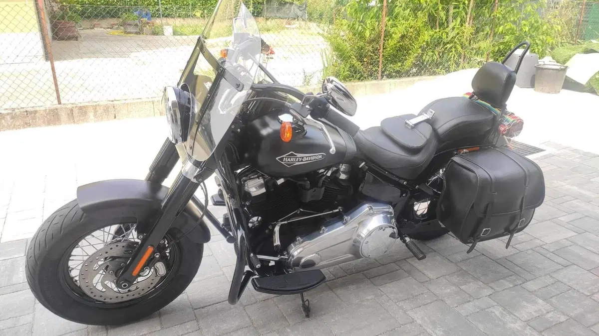 Harley-Davidson 107 Slim (2018 - 20) - FLSL 