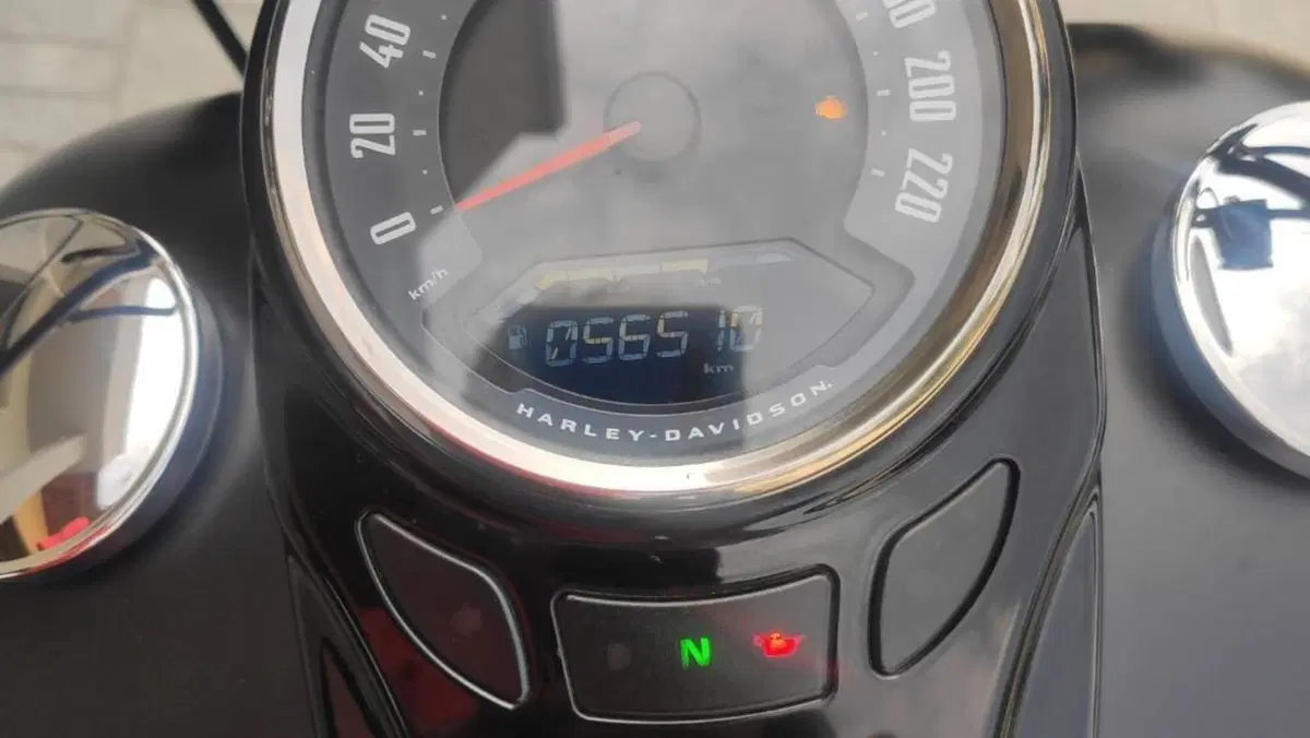 Harley-Davidson 107 Slim (2018 - 20) - FLSL  (2)