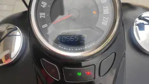 Harley-Davidson 107 Slim (2018 - 20) - FLSL  (2)