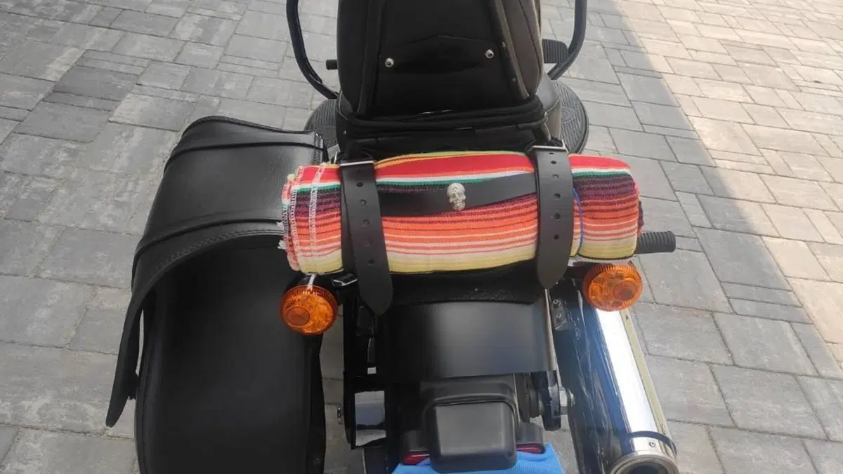 Harley-Davidson 107 Slim (2018 - 20) - FLSL  (4)