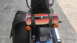Harley-Davidson 107 Slim (2018 - 20) - FLSL  (4)
