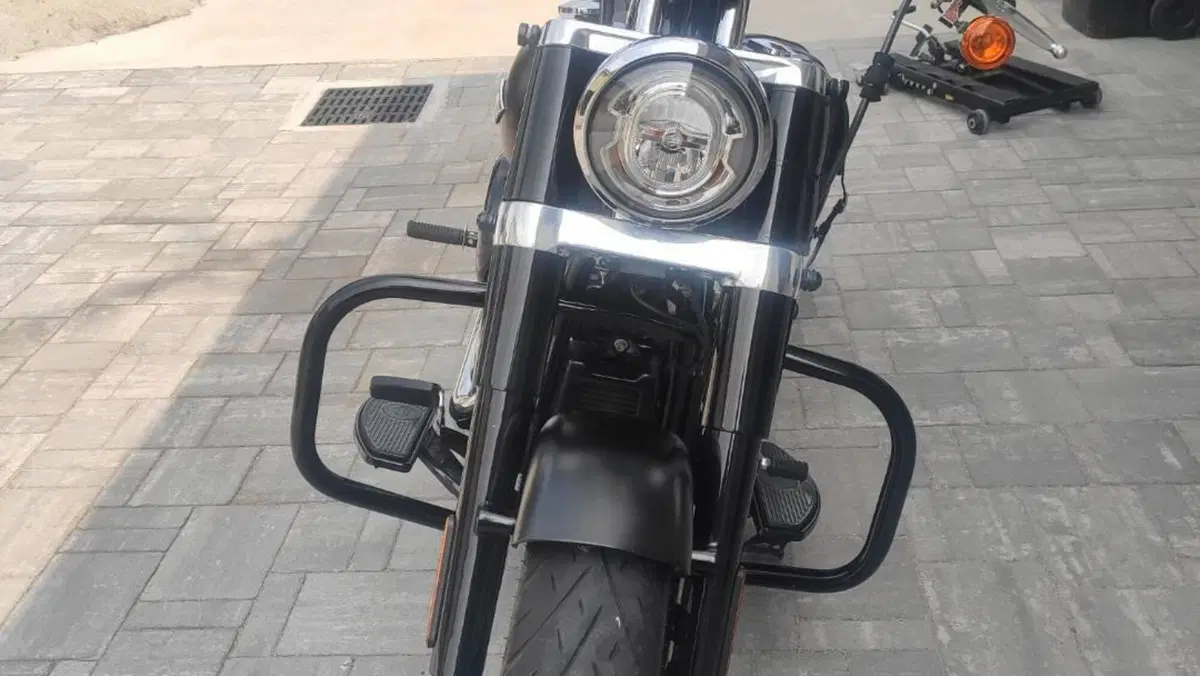 Harley-Davidson 107 Slim (2018 - 20) - FLSL  (5)