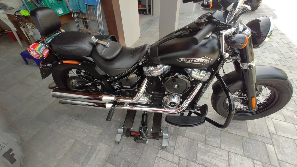 Harley-Davidson 107 Slim (2018 - 20) - FLSL  (6)