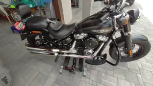 Harley-Davidson 107 Slim (2018 - 20) - FLSL  (6)