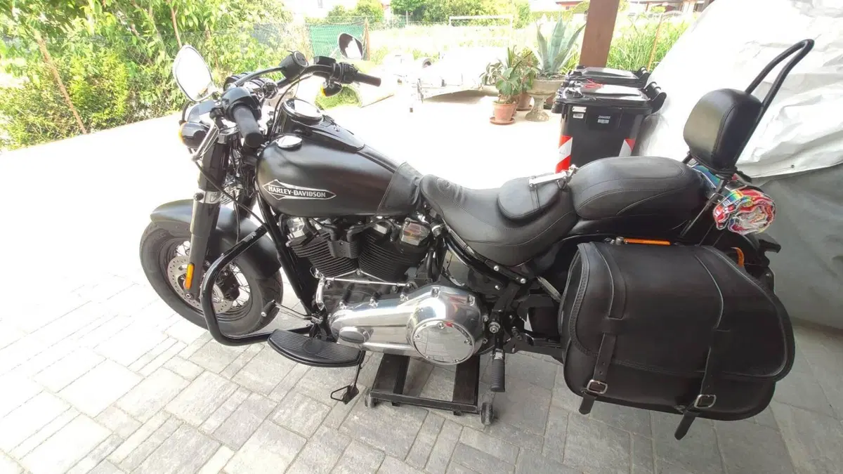 Harley-Davidson 107 Slim (2018 - 20) - FLSL  (7)