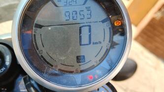 Ducati Scrambler 800 Icon (2015 - 16) usata