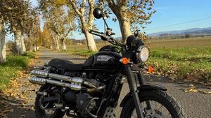Triumph Scrambler (2006 - 17) 