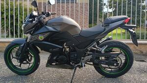 Kawasaki Z 300 ABS (2015 - 16) 