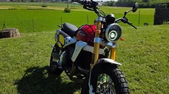 Fantic Motor Caballero 500 Scrambler (2021 - 23) usata