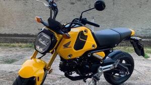 Honda MSX 125 Grom (2021 - 25)