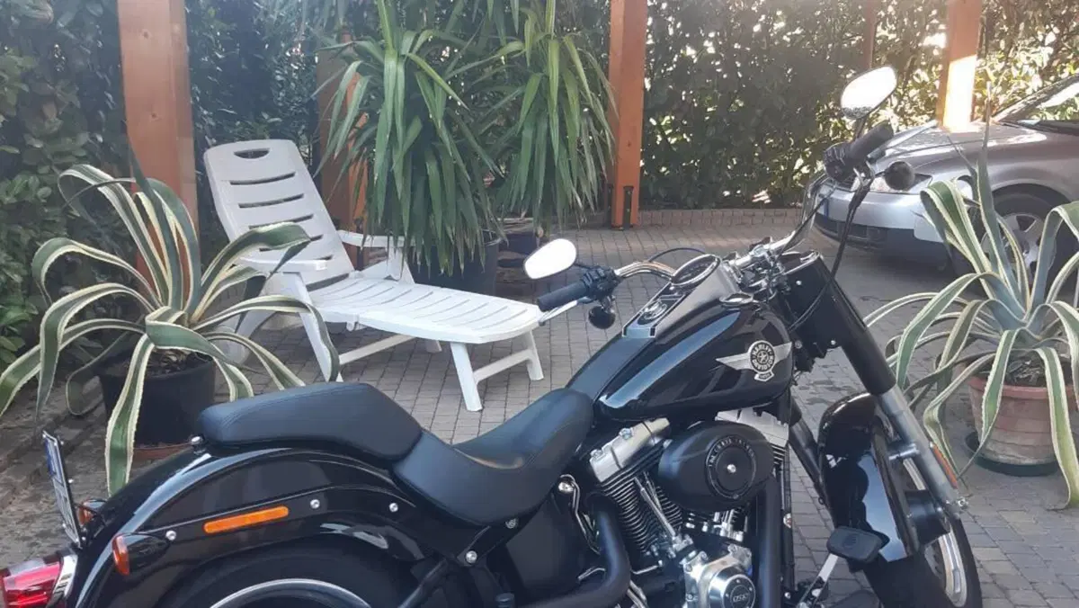 Harley-Davidson 1690 Fat Boy Special (2010 - 17) - FLSTF  (3)