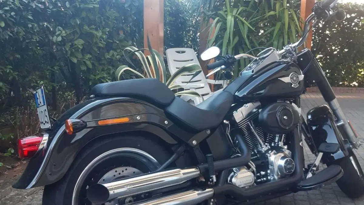 Harley-Davidson 1690 Fat Boy Special (2010 - 17) - FLSTF  (4)