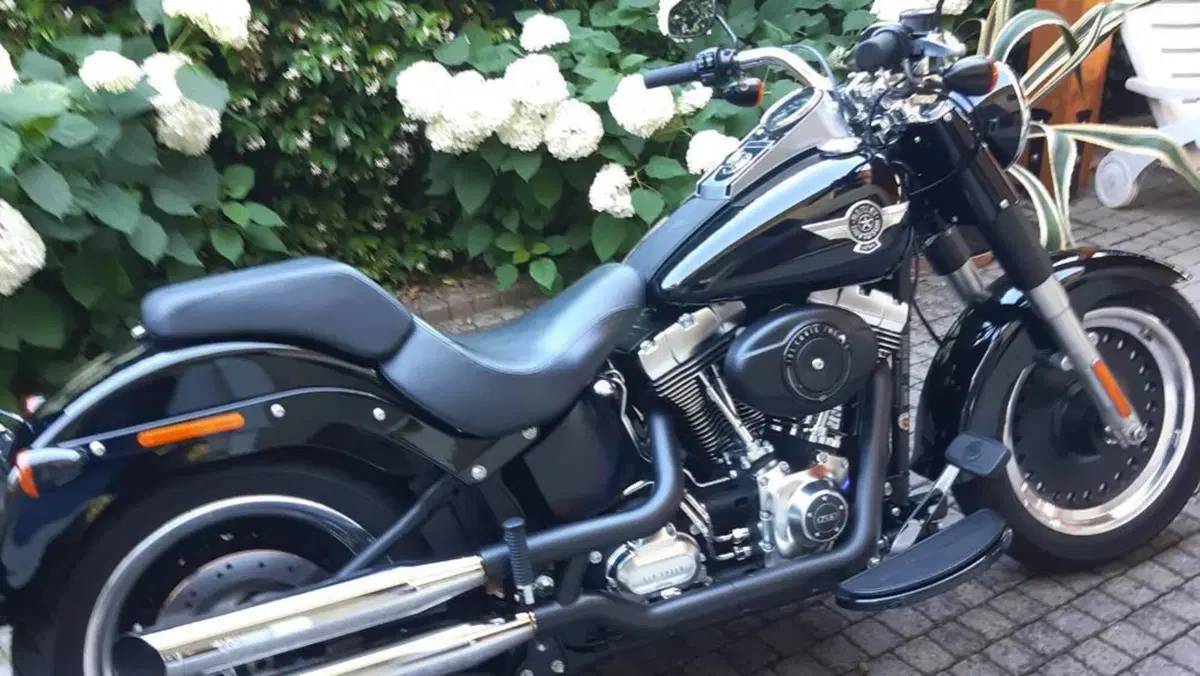 Harley-Davidson 1690 Fat Boy Special (2010 - 17) - FLSTF  (5)