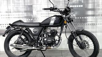 Mash Italia Fifty 50 (2018 - 20)
