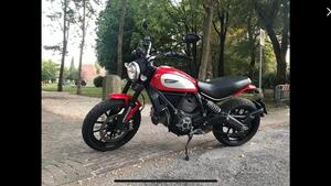 Ducati Scrambler 800 Icon (2015 - 16) 