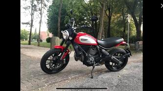 Ducati Scrambler 800 Icon (2015 - 16) usata