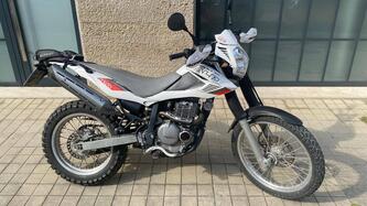 Betamotor Alp 4.0 (2006 - 08) usata